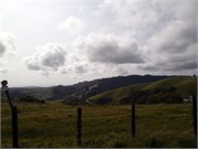 04152011_Lori and Rons_19
